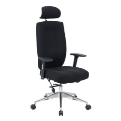 Ergonomic Office Chairs